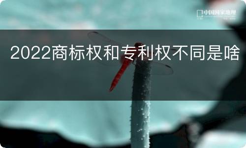 2022商标权和专利权不同是啥
