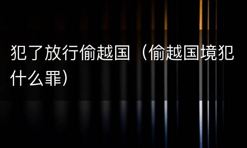 犯了放行偷越国（偷越国境犯什么罪）