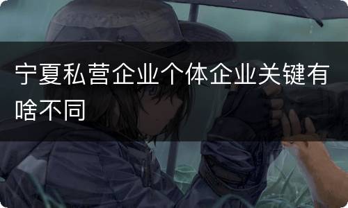 宁夏私营企业个体企业关键有啥不同