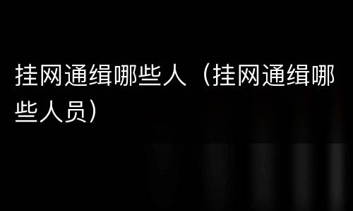 挂网通缉哪些人（挂网通缉哪些人员）