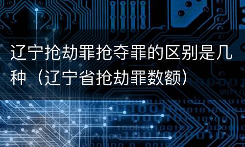 辽宁抢劫罪抢夺罪的区别是几种（辽宁省抢劫罪数额）