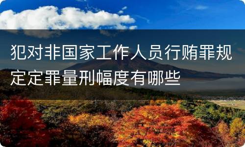 犯对非国家工作人员行贿罪规定定罪量刑幅度有哪些
