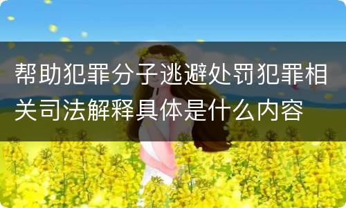 帮助犯罪分子逃避处罚犯罪相关司法解释具体是什么内容