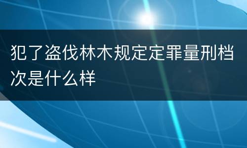 犯了盗伐林木规定定罪量刑档次是什么样
