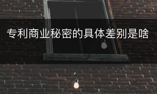 专利商业秘密的具体差别是啥
