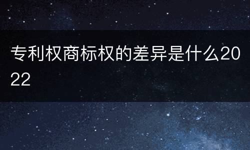 专利权商标权的差异是什么2022