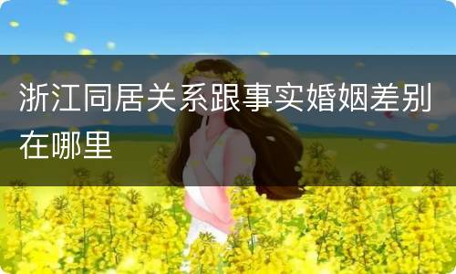 浙江同居关系跟事实婚姻差别在哪里