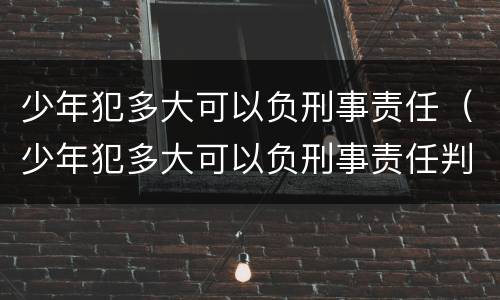 少年犯多大可以负刑事责任（少年犯多大可以负刑事责任判刑）