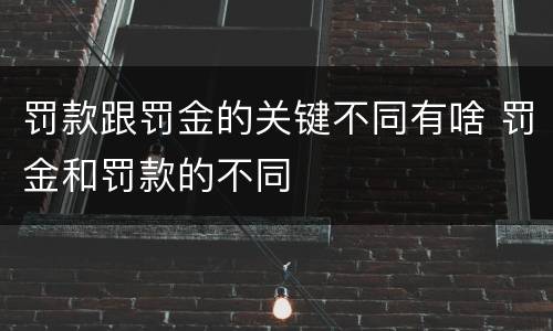 罚款跟罚金的关键不同有啥 罚金和罚款的不同