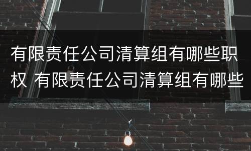 有限责任公司清算组有哪些职权 有限责任公司清算组有哪些职权组成