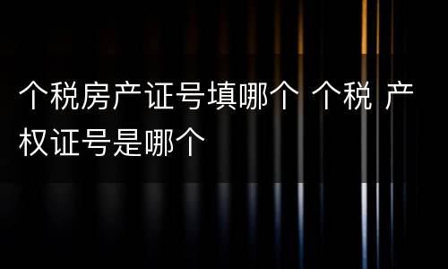 个税房产证号填哪个 个税 产权证号是哪个