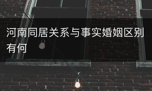 河南同居关系与事实婚姻区别有何