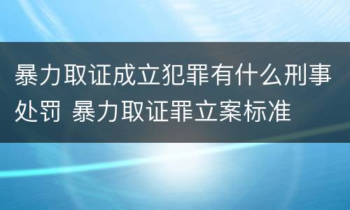 暴力取证成立犯罪有什么刑事处罚 暴力取证罪立案标准
