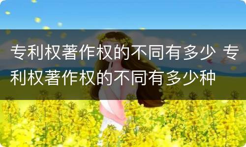 专利权著作权的不同有多少 专利权著作权的不同有多少种