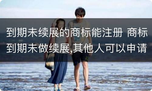 到期未续展的商标能注册 商标到期未做续展,其他人可以申请吗
