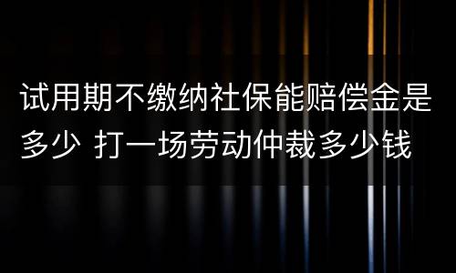 试用期不缴纳社保能赔偿金是多少 打一场劳动仲裁多少钱