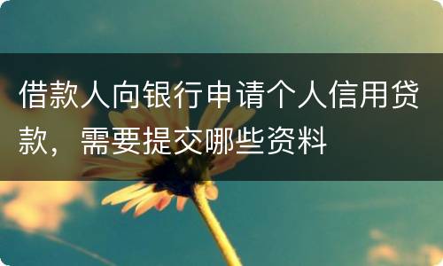 借款人向银行申请个人信用贷款，需要提交哪些资料
