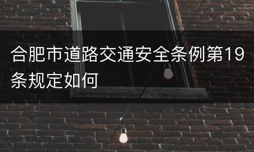 合肥市道路交通安全条例第19条规定如何