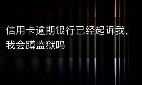 信用卡逾期银行已经起诉我，我会蹲监狱吗