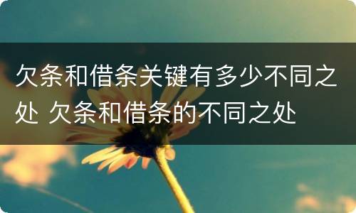 欠条和借条关键有多少不同之处 欠条和借条的不同之处