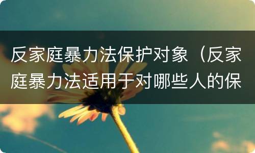 反家庭暴力法保护对象（反家庭暴力法适用于对哪些人的保护）