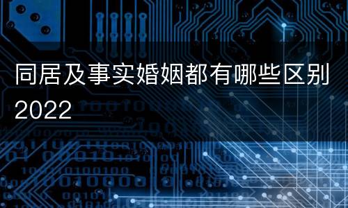 同居及事实婚姻都有哪些区别2022