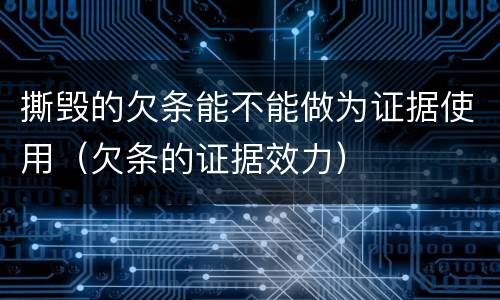 撕毁的欠条能不能做为证据使用（欠条的证据效力）