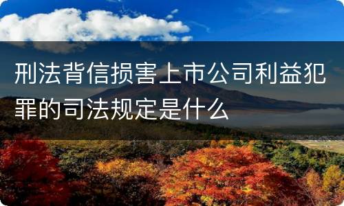 刑法背信损害上市公司利益犯罪的司法规定是什么