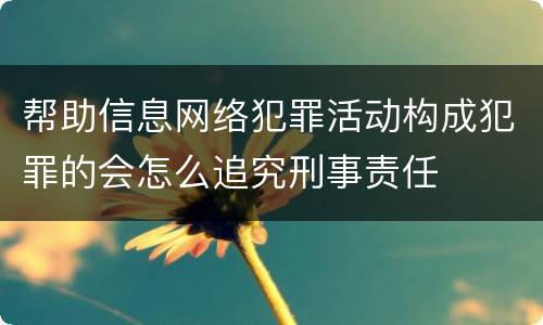 帮助信息网络犯罪活动构成犯罪的会怎么追究刑事责任