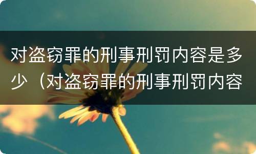 对盗窃罪的刑事刑罚内容是多少（对盗窃罪的刑事刑罚内容是多少条）