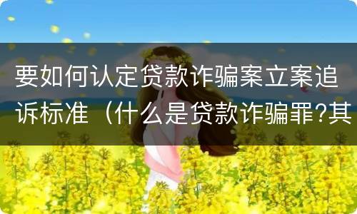 要如何认定贷款诈骗案立案追诉标准（什么是贷款诈骗罪?其立案追诉标准是什么?）