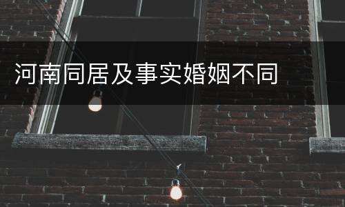 河南同居及事实婚姻不同