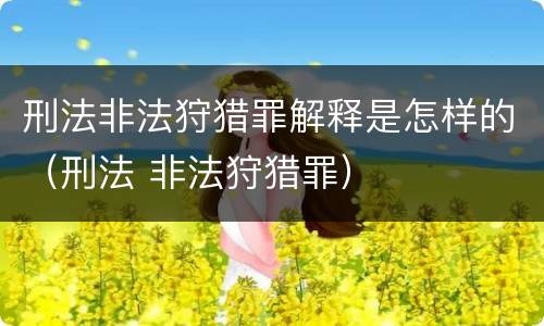 刑法非法狩猎罪解释是怎样的（刑法 非法狩猎罪）