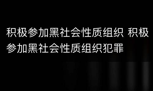 积极参加黑社会性质组织 积极参加黑社会性质组织犯罪