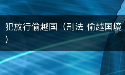 犯放行偷越国（刑法 偷越国境）
