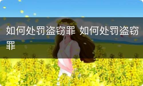 如何处罚盗窃罪 如何处罚盗窃罪
