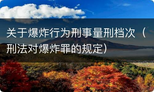 关于爆炸行为刑事量刑档次（刑法对爆炸罪的规定）