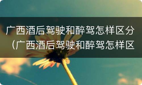 广西酒后驾驶和醉驾怎样区分（广西酒后驾驶和醉驾怎样区分判定）