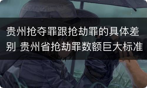 贵州抢夺罪跟抢劫罪的具体差别 贵州省抢劫罪数额巨大标准