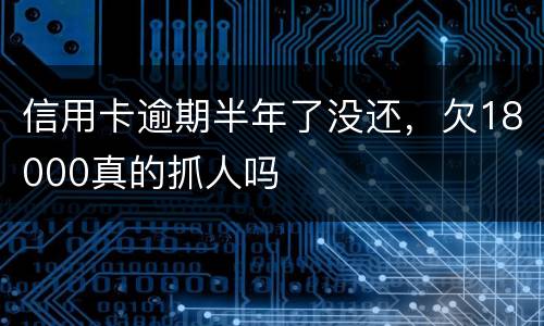 信用卡逾期半年了没还，欠18000真的抓人吗