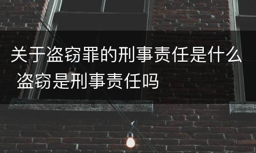 关于盗窃罪的刑事责任是什么 盗窃是刑事责任吗