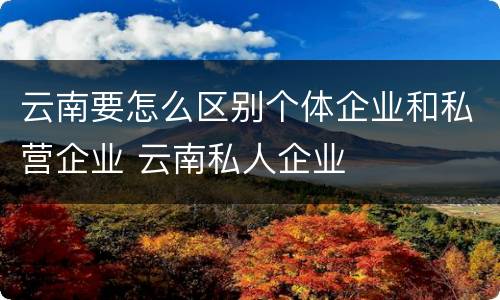 云南要怎么区别个体企业和私营企业 云南私人企业
