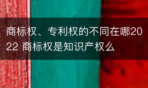 商标权、专利权的不同在哪2022 商标权是知识产权么