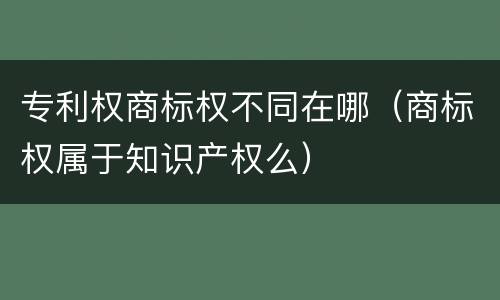 专利权商标权不同在哪（商标权属于知识产权么）