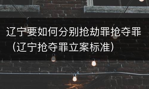 辽宁要如何分别抢劫罪抢夺罪（辽宁抢夺罪立案标准）