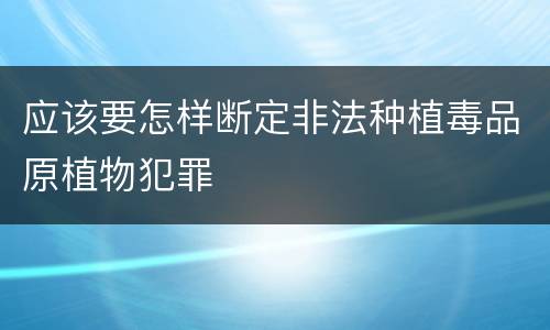 应该要怎样断定非法种植毒品原植物犯罪