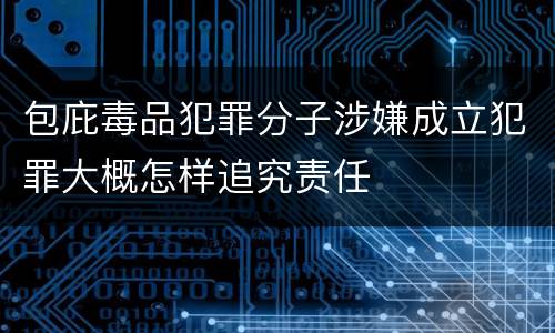 包庇毒品犯罪分子涉嫌成立犯罪大概怎样追究责任