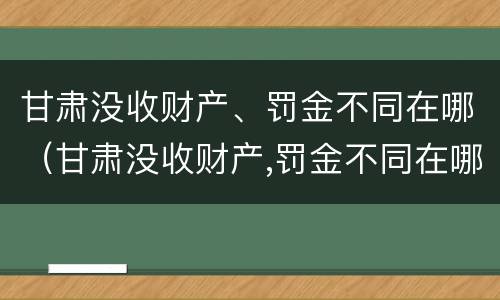 甘肃没收财产、罚金不同在哪（甘肃没收财产,罚金不同在哪缴纳）