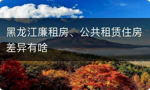 黑龙江廉租房、公共租赁住房差异有啥