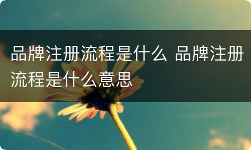 品牌注册流程是什么 品牌注册流程是什么意思